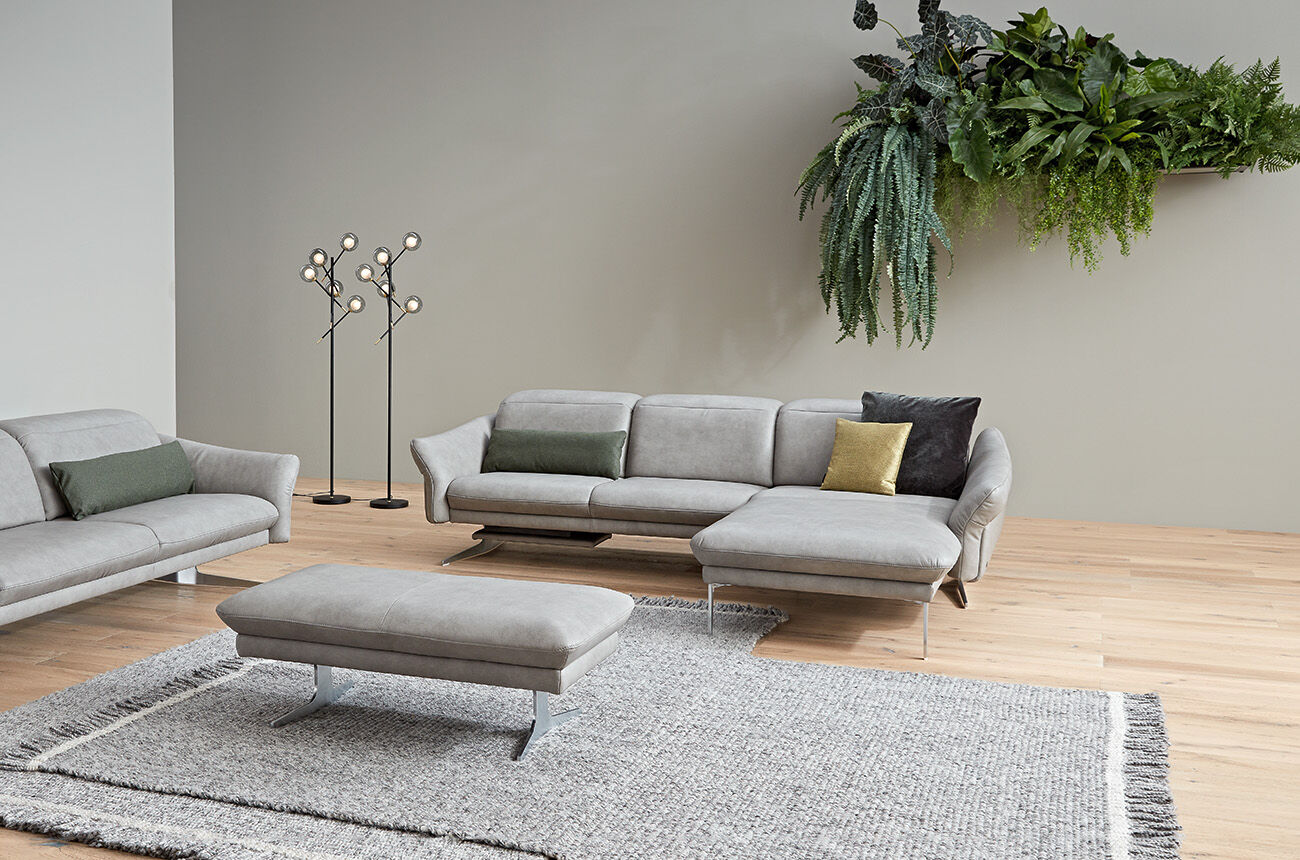 Ensemble PROMOTION 1808